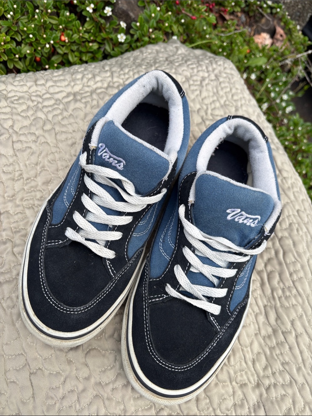 Vans Two-Tone Blue and Black Low-Top Sneakers